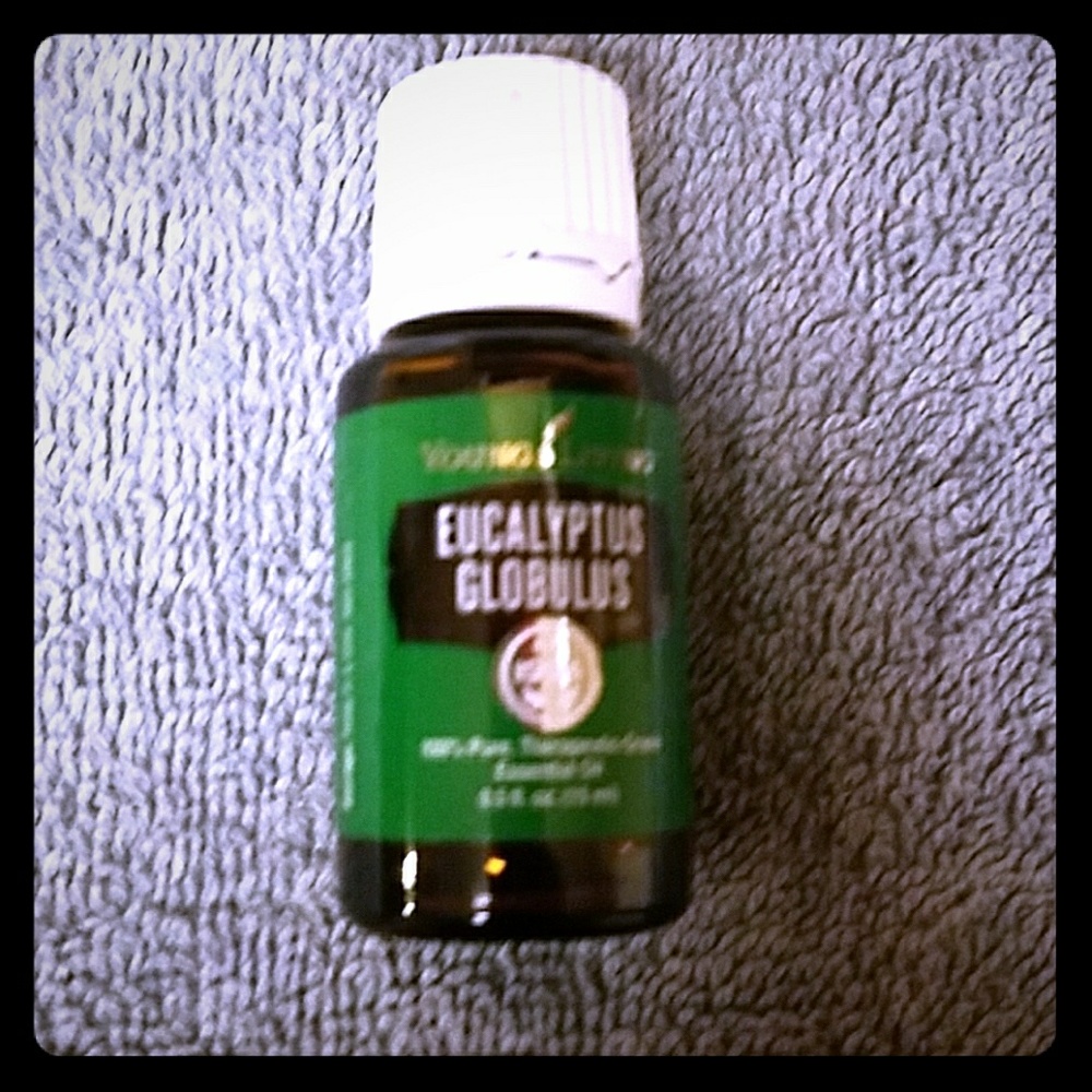 Eucalyptus globulus essential oil